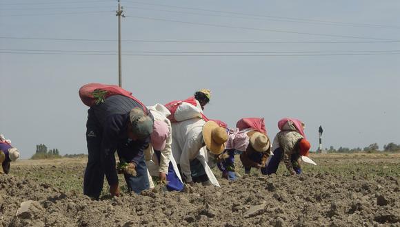 AGAP advirtió que los agricultores corren el riesgo de caer en pobreza extrema