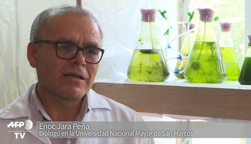 Enoc Jara Peña, jefe de este equipo de investigación de la Facultad de Ciencias Biológicas de la Universidad Nacional Mayor de San Marcos. (Foto: AFP)