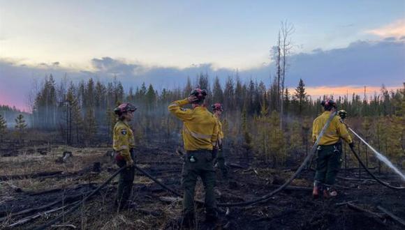 Los incendios forestales se encuentran activos en Canadá  (Foto: EFE)