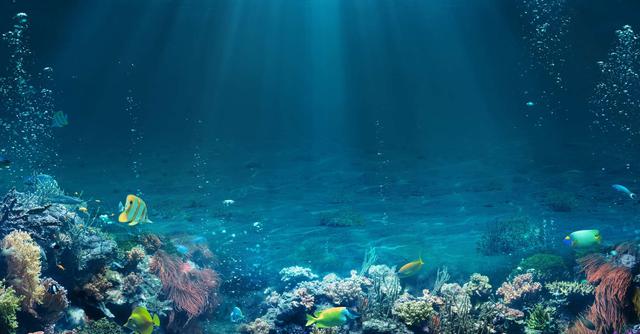 FOTO 4 | 4. Proteger los océanos  (Foto: iStock)