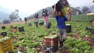 Alimentos se pudren en campos de Venezuela por falta de combustible