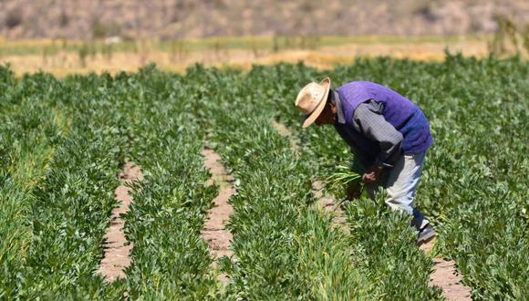 Ministra  de Agricultura manifestó que el bono se destinará para la compra de fertilizantes a los agricultores afectados por alza de insumos. (Foto: GEC)