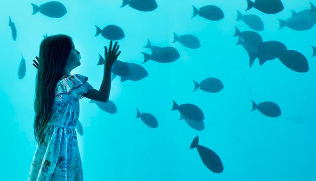 FOTO 10 | Las islas Maldivas es unos de los destinos turísticos más espectaculares del mundo para visitar, todo sabemos eso, ¿verdad?  (Foto: Conrad Maldives Rangali)