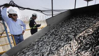 Produce: pesca de anchoveta crecería 73% este año con segunda temporada