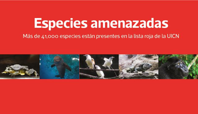 FOTO | Especies Amenazadas