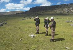Minagri: implementan sistema de vigilancia con drones para evitar la caza furtiva de vicuñas en Ayacucho