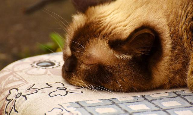 Puede que le debamos algún que otro placentero sueño también a la NASA. ¿Les suena el material "espuma con memoria"? Desde hace un tiempo se lleva usando entre otras cosas en colchones, dado que es un material que se adapta a nuestro cuerpo y to