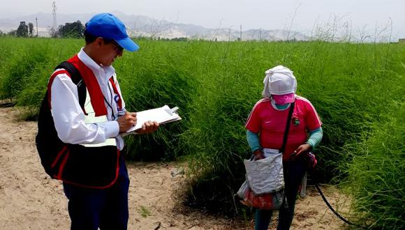 Los operativos de formalización en Ica se llevaron por el equipo de inspectores Perú Formal Rural