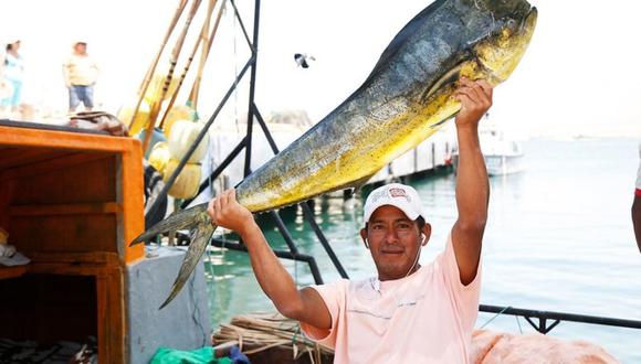 Produce modifica límite máximo de pesca del recurso perico (Foto: Andina)