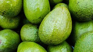 Alza de precio de la palta de 19% impulsa inflación en México