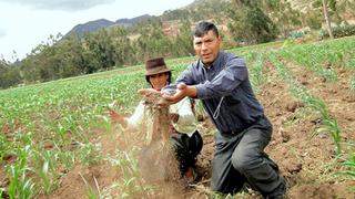 Impulsa Perú y Universidad del Callao se unen para dar capital a pequeños negocios de Apurímac