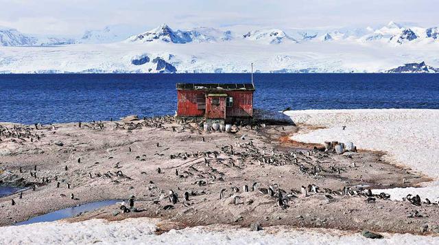 Colonia de pingüinos: En el primer viaje del M/Y Legend, visitar una colonia de pingüinos Gentoo cerca de una antigua estación de ballenas en el puerto Mikkelsen fue increíble. Ver a los lobos marinos holgazanear sobre el hielo y surcar en balsa la impres