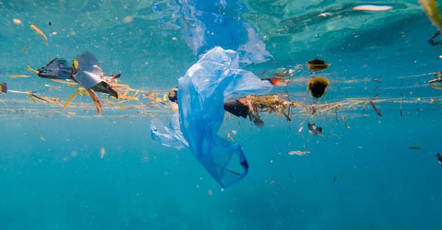 FOTO 2 | 2. Reducir el uso de plásticos  (Foto: iStock)