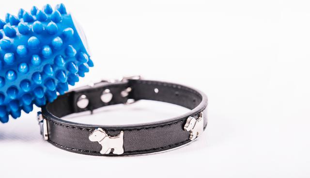 FOTO 1 | 1. La mascota sacrificada
“Debo irme porque me avisaron que mi mascota acaba de morir”
Debe ser la primer excusa que llegan a la mente de las personas, aunque también es la más fácil de derrumbar. ¿El motivo? Recordá que existe Instagram, Facebook, Twitter, y tantas otras redes sociales, donde no solo tú, sino alguien de tu familia puede olvidar  tu excusa y postear una foto del animal. Y no, tu jefe va a creer que “fue un milagro”. (Foto: Freepik)