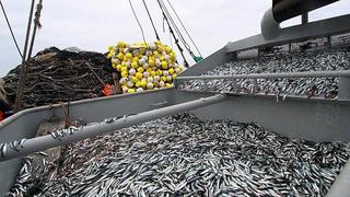 Perú es referente mundial en gestión pesquera, según Índice de Desempeño Ambiental 2022 