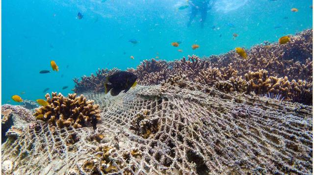 La captura accidental en los Estados Unidos puede ser de hasta 2 mil millones de libras (900 millones de kg) cada año. Las redes de plástico y la pesca de arrastre pueden destruir todo el ecosistema.