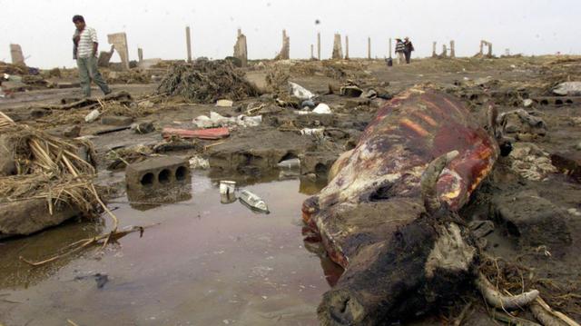 FOTO 9 | 23 junio 2001: El movimiento telúrico de magnitud 8,4 registrado en el sur de Perú afectó particularmente a Arequipa, Moquegua, Tacna y Ayacucho, y causó más de un centenar de muertos.