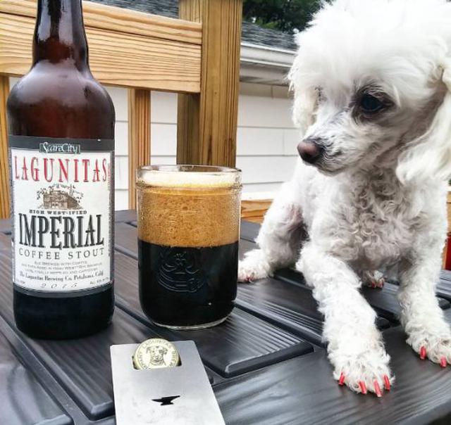 Cerveza negra de café de Lagunitas. En el 2004, luego de 21 años en operación, Lagunitas, con sede en California, se convirtió la quinta cervecera artesanal por ventas de EE.UU. Tal vez el aspecto más impresionante de este logro se puede encontrar en el e