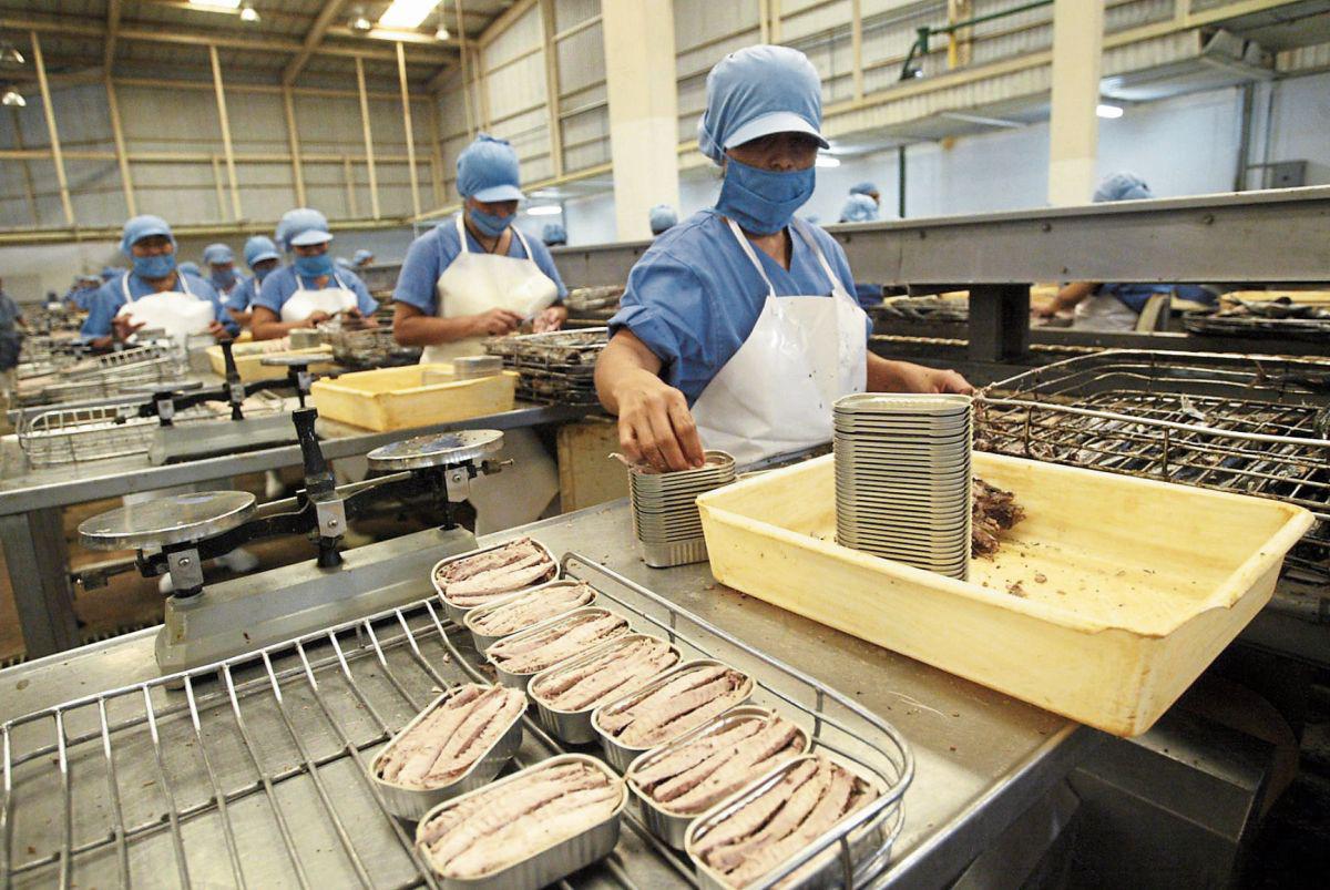 Conserveras. Hay disponibilidad de recursos, destaca Alfonso Miranda. (Foto: Andina)