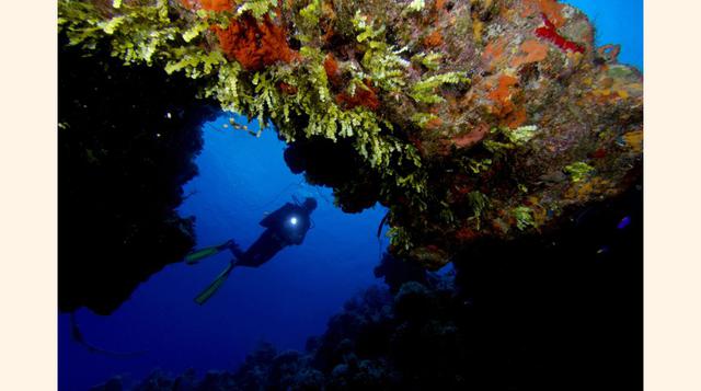 Desenterrando la vieja Port Royal, En otros tiempos, Port Royal fue la capital de Jamaica y la ciudad con mayor concentración de piratas, prostitutas y ron del Nuevo Mundo. También fue la única urbe que se hundió en América, debido a un gigantesco terremo