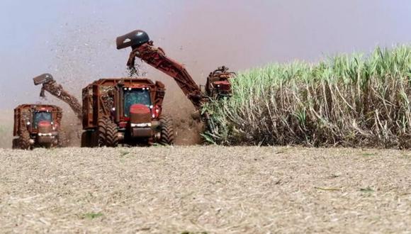 Paraná, el estado número 2 en producción de maíz y soja, recibirá más de 100 milímetros de lluvia, dijo el Inmet, un hecho positivo en un momento en que el estado se prepara para la siembra. (Foto: Reuters)