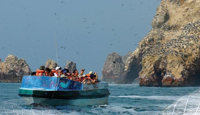Foto 2 | Reserva Nacional de Islas Ballestas. Es la segunda área natural protegida más visitada del Perú y en 2017 recibió a 388,533 turistas, más de la mitad de ellos fueron nacionales. Los que visitan las Islas Ballestas pueden disfrutar del nado alborotado de los lobos marinos, el mayor de los espectáculos turísticos que uno pueda imaginar. (Foto: Andina)