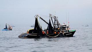 ONG Oceana: Se desvían 150,000 toneladas de anchoveta para hacer harina en Perú