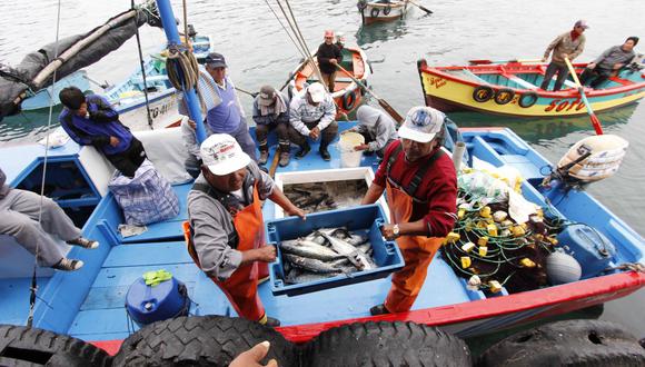 Produce Amplía plazo para que operadores de infraestructura pesquera se adecuen a reglamento de inocuidad. (Foto: GEC)