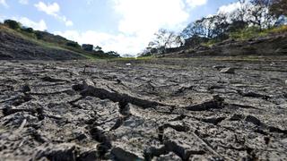 Productor de fertilizantes dice que El Niño amenaza cultivos clave