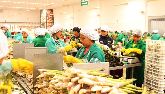 Agroexportaciones peruanas avanzan en el 2023.
