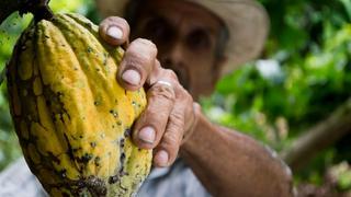 Tras conflicto, Colombia busca convertirse en potencia agrícola