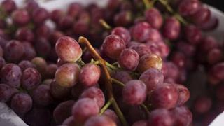 Las altas temperaturas en China convierten cultivo de uvas en pasas