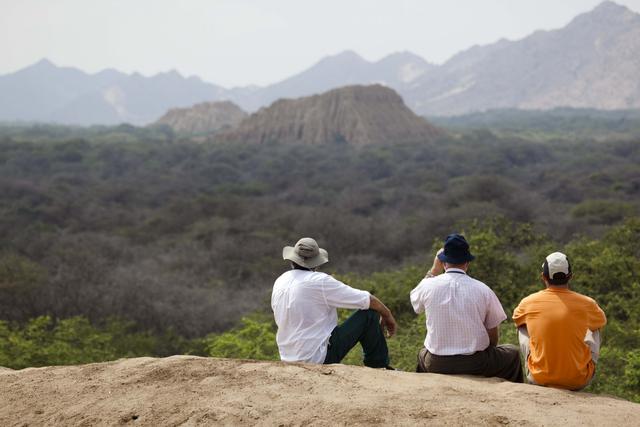 FOTO 2 | Bosque de Pómac, la magia de un bosque milenario
Siempre es buena idea viajar al norte durante la Semana Santa. Los clásicos de Lambayeque nunca fallan, como este Santuario Histórico, uno de los íconos de la cultura Sicán que dejó en Pómac una huella imborrable de su riqueza cultural. A un paso de la ciudad, nos sorprenderá encontrar 6 mil hectáreas de bosques de algarrobo. ¿Cómo llegar? El Santuario Histórico Bosque de Pómac se ubica en Ferreñafe, a 45 minutos de la ciudad de Chiclayo.
Solo su nombre ya evoca aventura por sus cuatro grandes rutas turísticas: la Cortarrama, la Golondrina de Tumbes, el Rio Viejo y el Bosque y pirámides de Tumbes. Además, si lo tuyo es avistar aves, esta es una visita casi obligada para observar el pájaro carpintero, el turtupilín, la cortarrama, la golondrina de tumbes, el huerequequeminero peruano, el gavilán bicolor, el ruiseñor y la chilala, entre otras. La experiencia es única si se combina con actividades de trekking, fotografía, ciclismo y las visitas a la huaca la Merced y el Museo de Túcume.