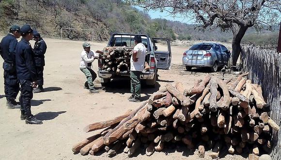 El Gobierno busca reforzar mecanismos para combatir la tala ilegal.