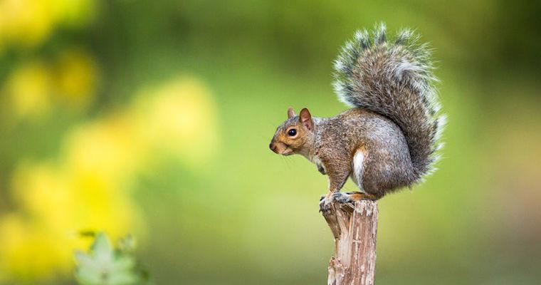 compañeros de trabajo