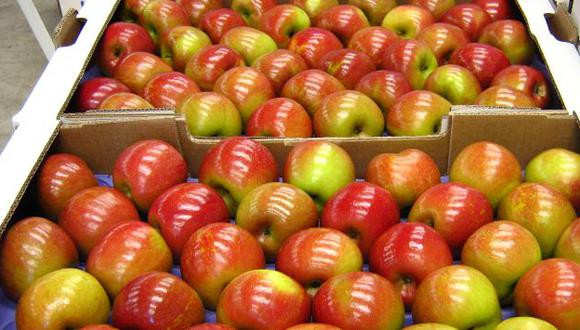 Aumentó la importación de manzanas chilenas.