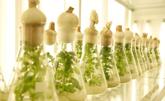 FOTO 23 | Universidad Nacional Autónoma de Huanta (UNAH). Fue creada por la Ley N° 29658 el 28 de enero de 2011 y comenzó el proceso de licenciamiento de manera temprana. La institución comenzará con el pie derecho, ya que convocará a su primer examen de 