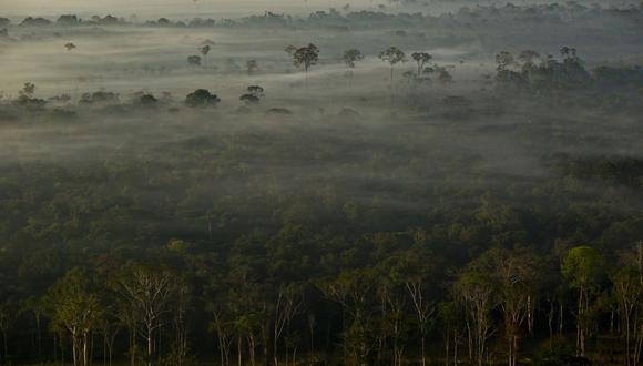El proyecto que abarca casi 1,000 kilómetros fue suspendido por un juez de la corte suprema por temor a una deforestación.