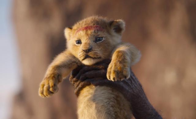 Foto 3 | El tercer lugar fue para el "Rey León" de Disney, una nueva versión de la película animada de 1994 que emplea imágenes hiperrealistas generadas por computadora, y que recolectó US$ 20 millones. (Foto: IMDB)