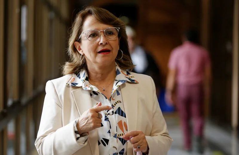 Chilean minister on lithium: We have taken a long time to react and investigate
