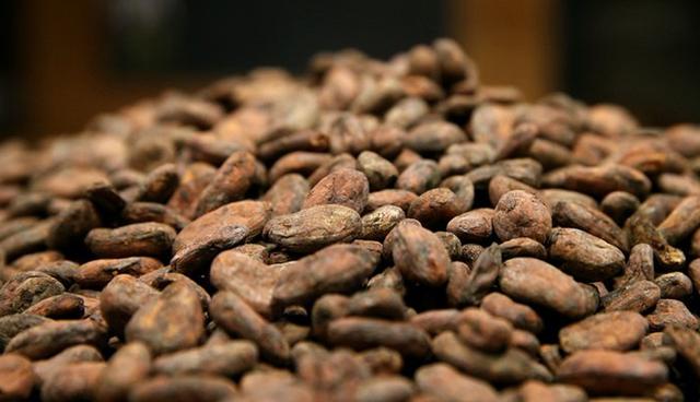 FOTO 8 | Cacao. Es muy rico en magnesio, y eso aporta grandes ventajas para la nutrición de nuestro sistema nervioso. Además, es un antioxidante beneficioso para la buena salud del cerebro.