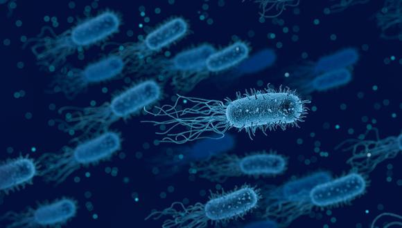 Las bacterias pueden volverse resistentes cuando los pacientes utilizan antibióticos que no necesitan. (Foto: AFP)