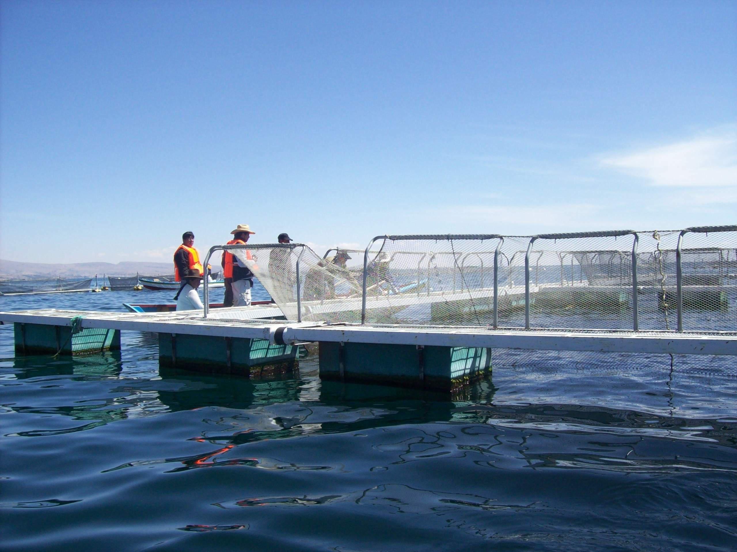 Piscigranja de truchas en Puno. (Foto: Difusión)