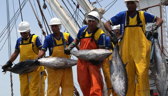 La empresas dedicadas a la pesca industrial deben repartir el 10% de sus ganancias netas entre sus trabajadores (Foto: Andina)