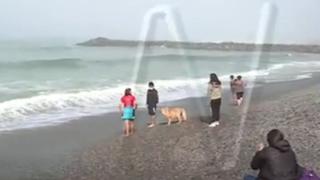 Bañistas acuden a la playa Makaha pese a cierre de balnearios que rige desde este viernes