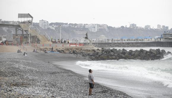 Hoy se define si se cierran playas por pelícanos muertos en el litoral. (Foto: GEC)