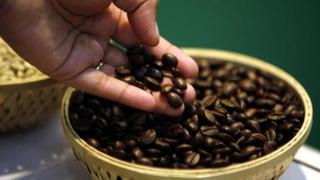 Café peruano llega a 44 mercados a nivel mundial, señala Sierra y Selva Exportadora 