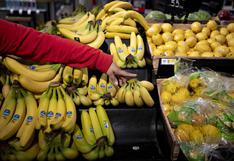 Bananeros analizan en Miami frente común contra hongo que amenaza a los países de América