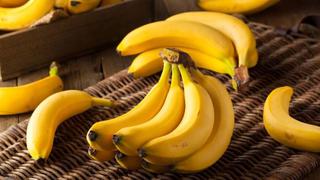 Exportaciones de tangelos y plátanos caen en agosto; Países Bajos es el principal destino