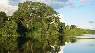 Subsistir (y dejar vivir) en los humedales de la Amazonía peruana